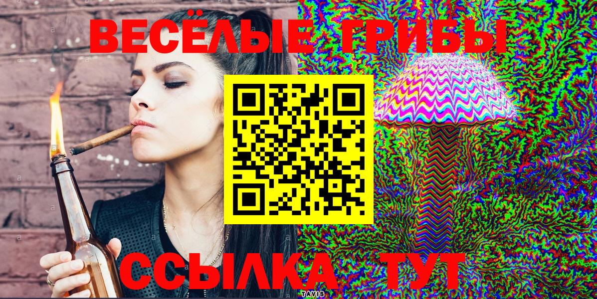 Псилоцибиновые грибы MAGIC MUSHROOMS  Галлюциногенные грибы Magic Shrooms  Вход с VPN  Нововоронеж 