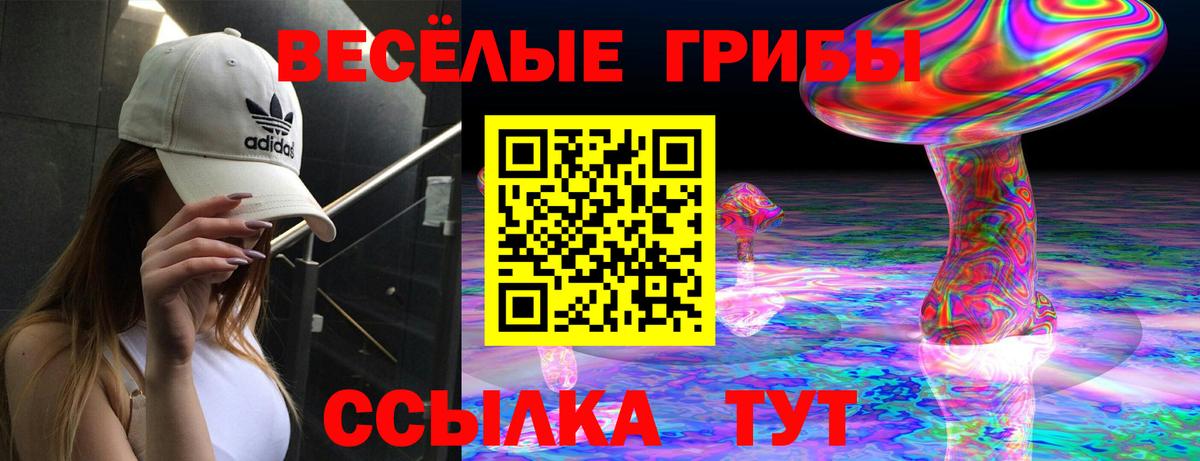 Псилоцибиновые грибы Psilocybine cubensis Нововоронеж